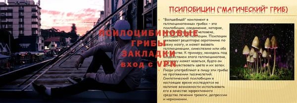 ALPHA PVP Володарск